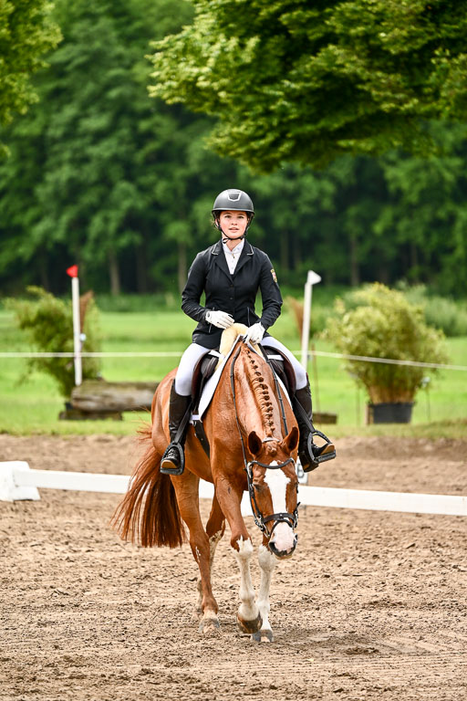 Goldene Schärpe Pferfde in Löningen 2026 | 12062026Dressur B _0476 