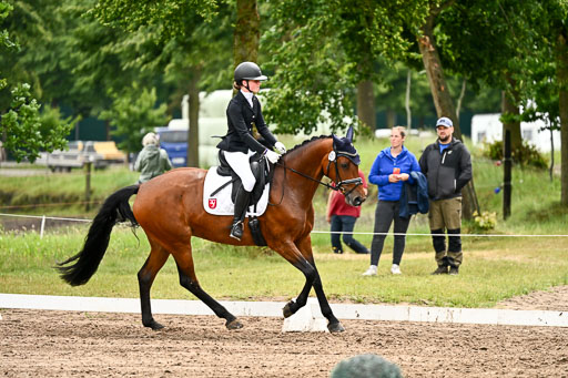 Goldene Schärpe Pferfde in Löningen 2026 | 12062026Dressur B _0477 