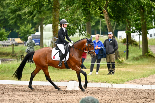 Goldene Schärpe Pferfde in Löningen 2026 | 12062026Dressur B _0478 