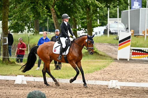Goldene Schärpe Pferfde in Löningen 2026 | 12062026Dressur B _0479 