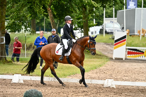 Goldene Schärpe Pferfde in Löningen 2026 | 12062026Dressur B _0480 