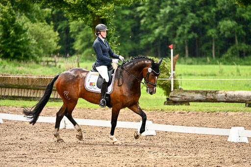 Goldene Schärpe Pferfde in Löningen 2026 | 12062026Dressur B _0481 