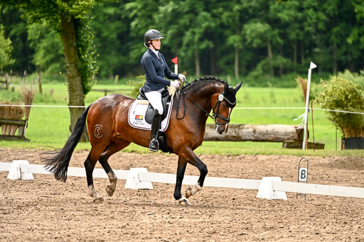 Goldene Schärpe Pferfde in Löningen 2026 | 12062026Dressur B _0482 