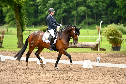 Goldene Schärpe Pferfde in Löningen 2026 | 12062026Dressur B _0483 