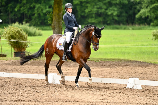 Goldene Schärpe Pferfde in Löningen 2026 | 12062026Dressur B _0484 