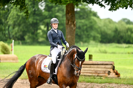 Goldene Schärpe Pferfde in Löningen 2026 | 12062026Dressur B _0485 