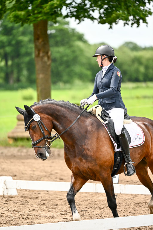 Goldene Schärpe Pferfde in Löningen 2026 | 12062026Dressur B _0486 