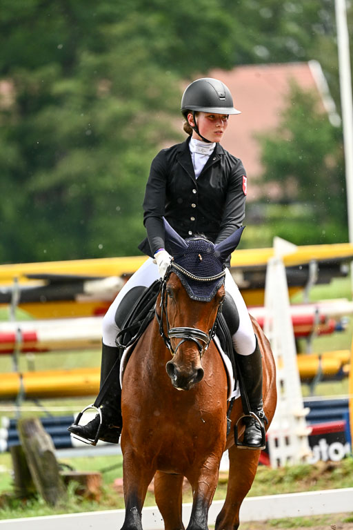 Goldene Schärpe Pferfde in Löningen 2026 | 12062026Dressur B _0487 
