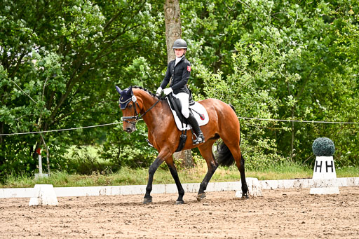 Goldene Schärpe Pferfde in Löningen 2026 | 12062026Dressur B _0488 