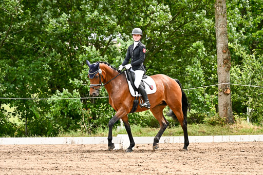 Goldene Schärpe Pferfde in Löningen 2026 | 12062026Dressur B _0489 