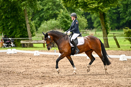 Goldene Schärpe Pferfde in Löningen 2026 | 12062026Dressur B _0490 