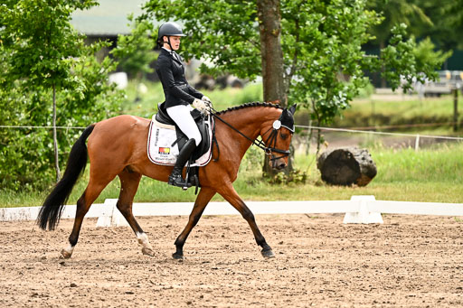Goldene Schärpe Pferfde in Löningen 2026 | 12062026Dressur B _0492 