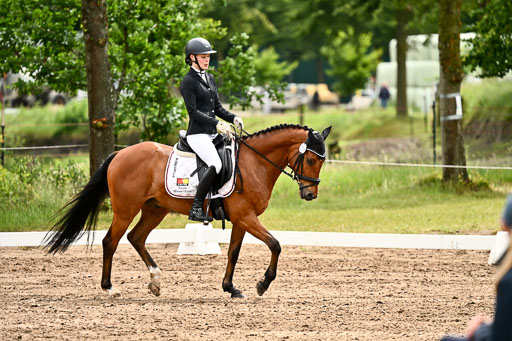 Goldene Schärpe Pferfde in Löningen 2026 | 12062026Dressur B _0493 