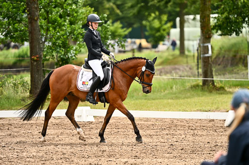 Goldene Schärpe Pferfde in Löningen 2026 | 12062026Dressur B _0494 