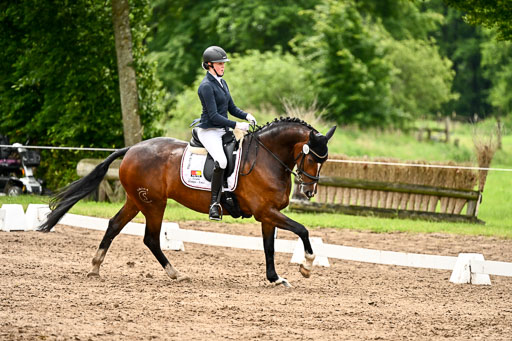 Goldene Schärpe Pferfde in Löningen 2026 | 12062026Dressur B _0495 