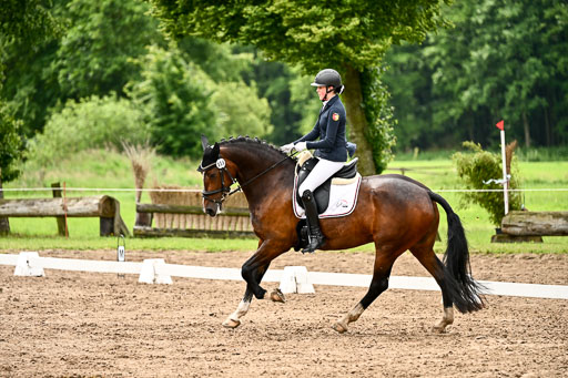 Goldene Schärpe Pferfde in Löningen 2026 | 12062026Dressur B _0497 
