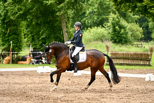 Goldene Schärpe Pferfde in Löningen 2026 | 12062026Dressur B _0499 