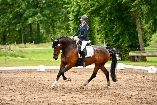 Goldene Schärpe Pferfde in Löningen 2026 | 12062026Dressur B _0500 