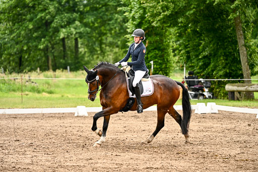 Goldene Schärpe Pferfde in Löningen 2026 | 12062026Dressur B _0501 