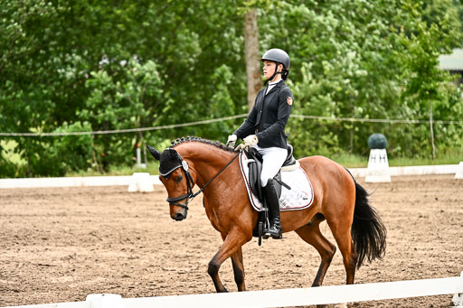 Goldene Schärpe Pferfde in Löningen 2026 | 12062026Dressur B _0503 