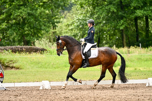 Goldene Schärpe Pferfde in Löningen 2026 | 12062026Dressur B _0504 