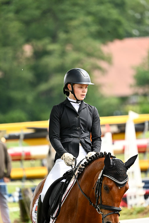 Goldene Schärpe Pferfde in Löningen 2026 | 12062026Dressur B _0505 