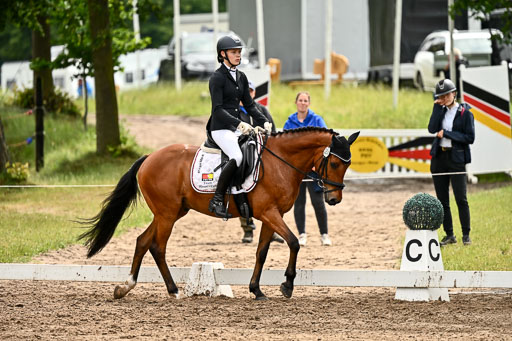 Goldene Schärpe Pferfde in Löningen 2026 | 12062026Dressur B _0509 