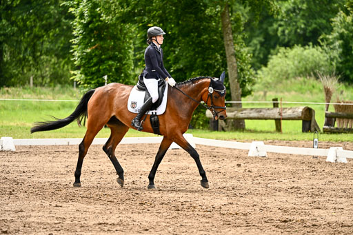 Goldene Schärpe Pferfde in Löningen 2026 | 12062026Dressur B _0510 