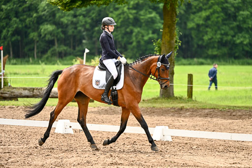 Goldene Schärpe Pferfde in Löningen 2026 | 12062026Dressur B _0511 