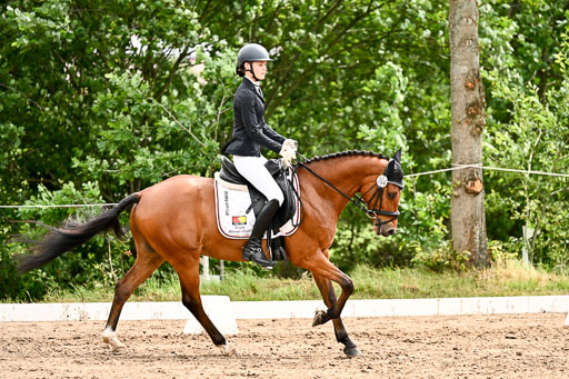 Goldene Schärpe Pferfde in Löningen 2026 | 12062026Dressur B _0512 