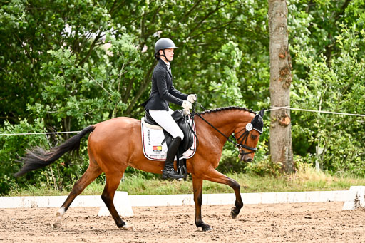 Goldene Schärpe Pferfde in Löningen 2026 | 12062026Dressur B _0513 