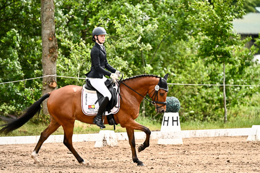 Goldene Schärpe Pferfde in Löningen 2026 | 12062026Dressur B _0514 