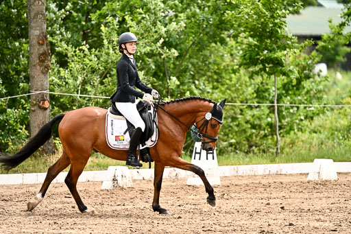 Goldene Schärpe Pferfde in Löningen 2026 | 12062026Dressur B _0515 