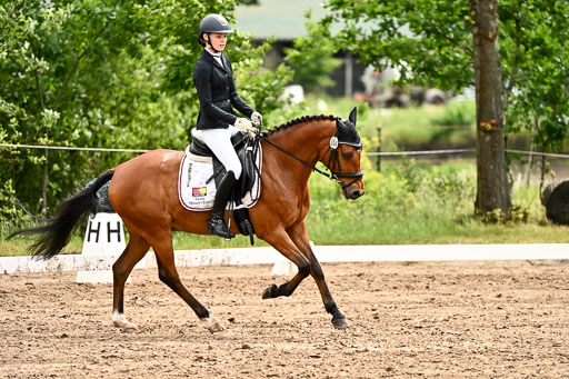 Goldene Schärpe Pferfde in Löningen 2026 | 12062026Dressur B _0516 
