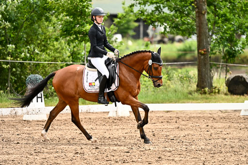 Goldene Schärpe Pferfde in Löningen 2026 | 12062026Dressur B _0517 