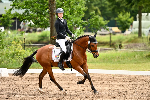 Goldene Schärpe Pferfde in Löningen 2026 | 12062026Dressur B _0518 