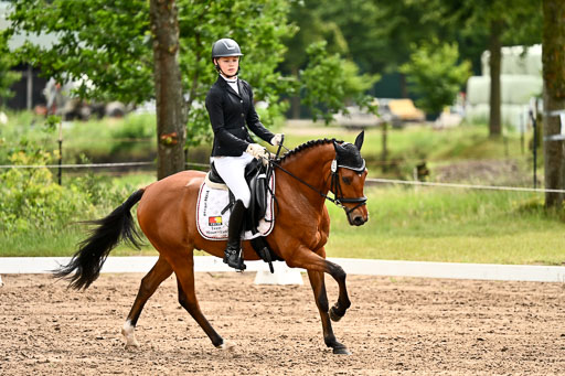 Goldene Schärpe Pferfde in Löningen 2026 | 12062026Dressur B _0519 