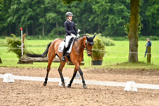 Goldene Schärpe Pferfde in Löningen 2026 | 12062026Dressur B _0521 