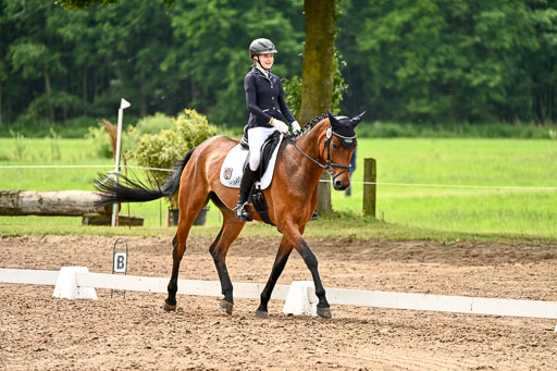 Goldene Schärpe Pferfde in Löningen 2026 | 12062026Dressur B _0522 