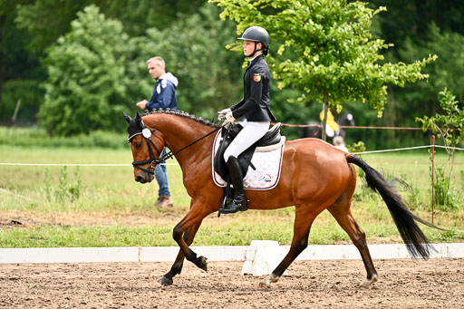 Goldene Schärpe Pferfde in Löningen 2026 | 12062026Dressur B _0523 