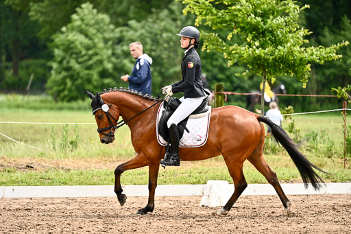 Goldene Schärpe Pferfde in Löningen 2026 | 12062026Dressur B _0524 