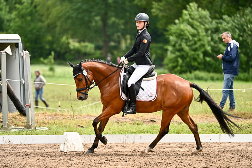 Goldene Schärpe Pferfde in Löningen 2026 | 12062026Dressur B _0525 