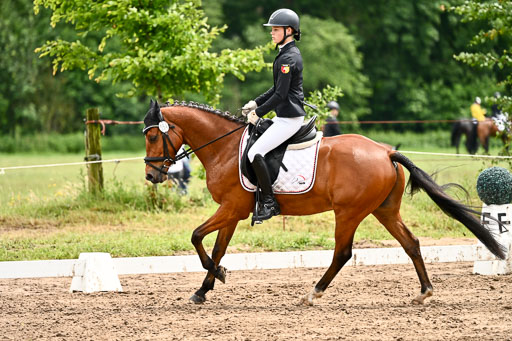 Goldene Schärpe Pferfde in Löningen 2026 | 12062026Dressur B _0526 