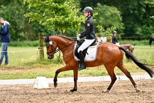 Goldene Schärpe Pferfde in Löningen 2026 | 12062026Dressur B _0527 