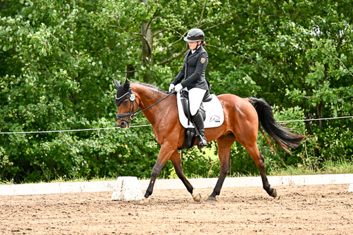 Goldene Schärpe Pferfde in Löningen 2026 | 12062026Dressur B _0530 
