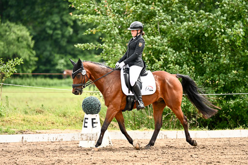 Goldene Schärpe Pferfde in Löningen 2026 | 12062026Dressur B _0531 