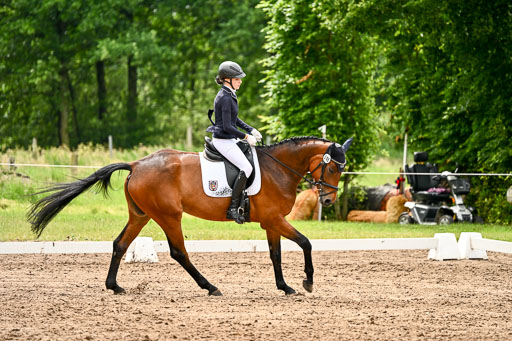 Goldene Schärpe Pferfde in Löningen 2026 | 12062026Dressur B _0532 