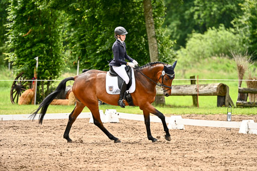 Goldene Schärpe Pferfde in Löningen 2026 | 12062026Dressur B _0533 
