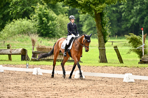 Goldene Schärpe Pferfde in Löningen 2026 | 12062026Dressur B _0536 