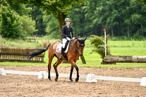 Goldene Schärpe Pferfde in Löningen 2026 | 12062026Dressur B _0537 